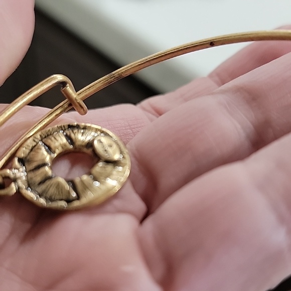 Alex and Ani Gold and Silver Anchor & Lifebuoy Charm Expandable Bangle Set - Picture 6 of 12